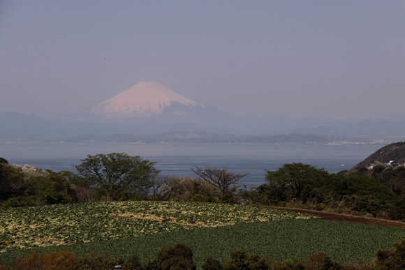 f0217933_2045344.jpg