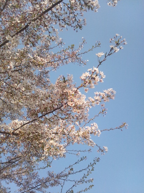 b0175335_0474865.jpg