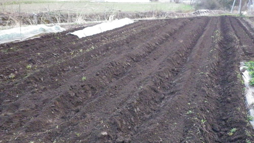 c0300035_8283788.jpg