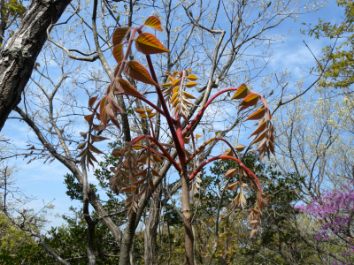 e0272335_20131025.jpg