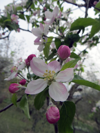 f0234936_5543021.jpg
