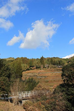 c0148238_11282940.jpg