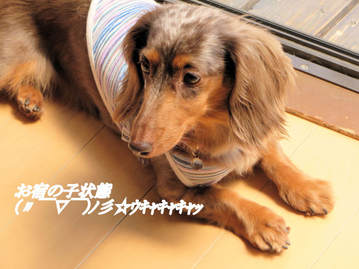 a0149240_21590511.jpg