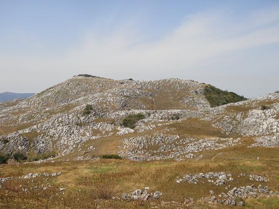 e0164643_22352626.jpg