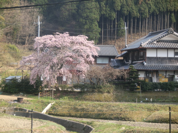 b0132746_22112919.jpg