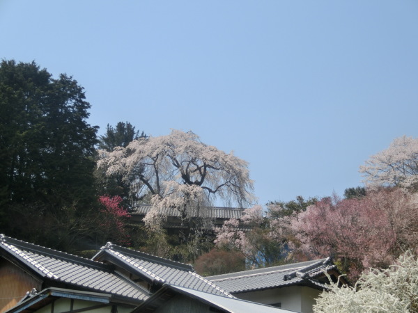 b0132746_22123175.jpg