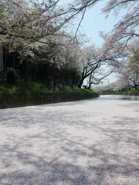 e0269946_19554275.jpg