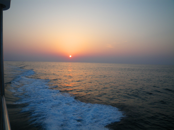 f0161647_21172670.jpg