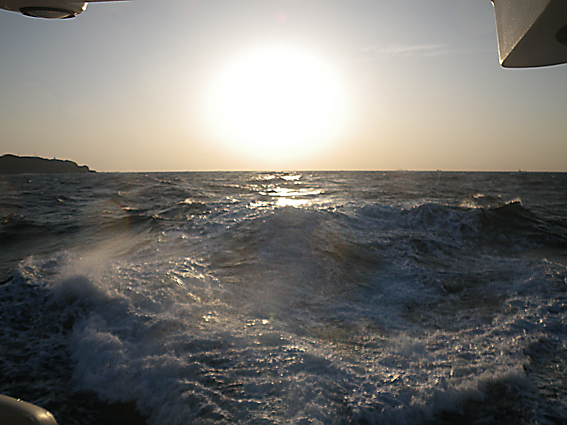 f0161647_21182830.jpg