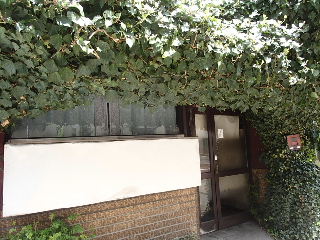 d0063149_17552921.jpg