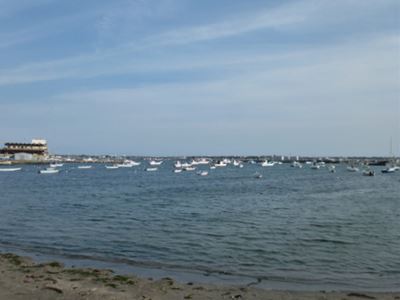 b0220251_6463326.jpg
