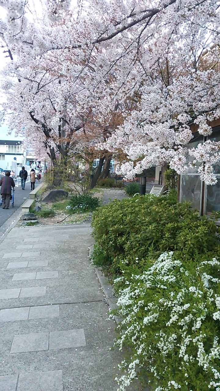 c0073152_194842100.jpg