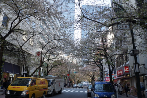 c0206352_20231754.jpg