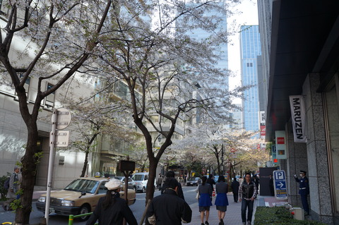 c0206352_2027399.jpg