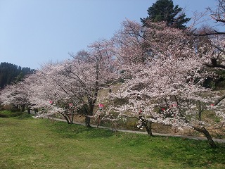 c0208355_19472247.jpg