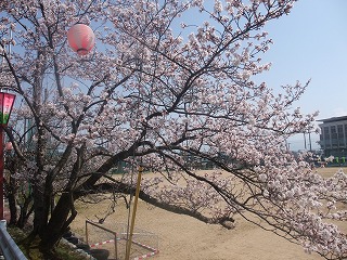 c0208355_19515675.jpg