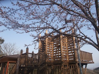 c0208355_20103514.jpg