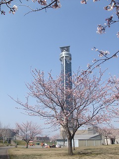 c0208355_20193388.jpg