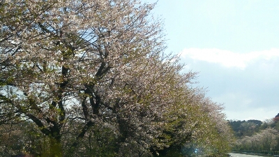 b0253057_7291051.jpg
