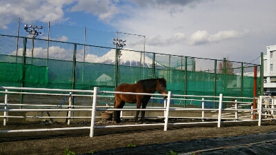 b0253057_8151380.jpg