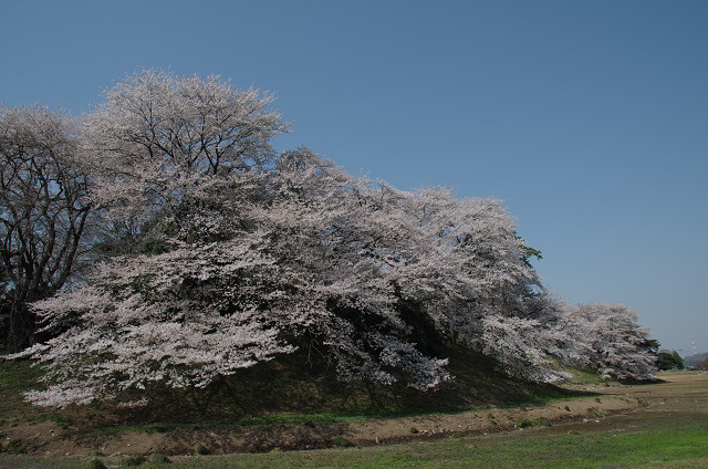 c0080357_2227379.jpg