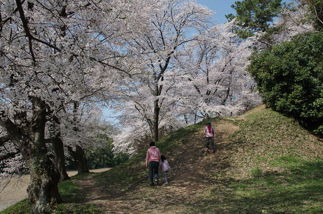 c0080357_2228015.jpg