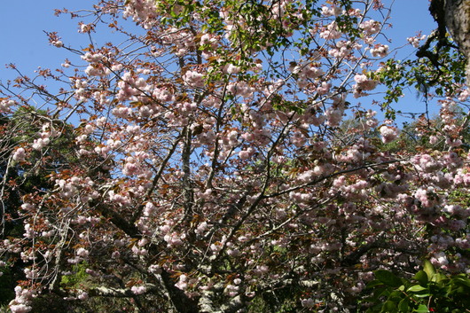 c0115366_1849337.jpg