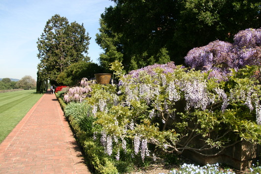 c0115366_18532783.jpg