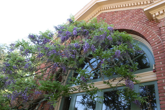 c0115366_18551057.jpg