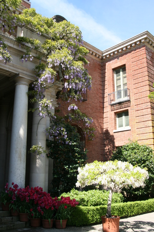 c0115366_1993954.jpg