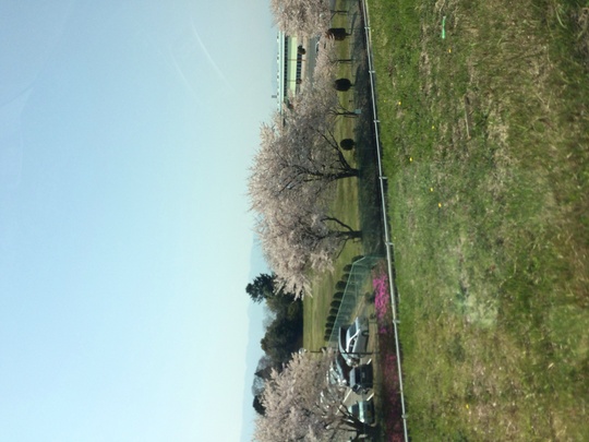 f0299870_10192621.jpg