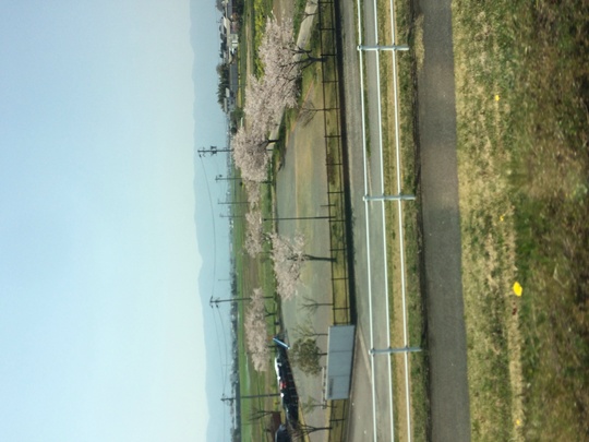 f0299870_1019392.jpg