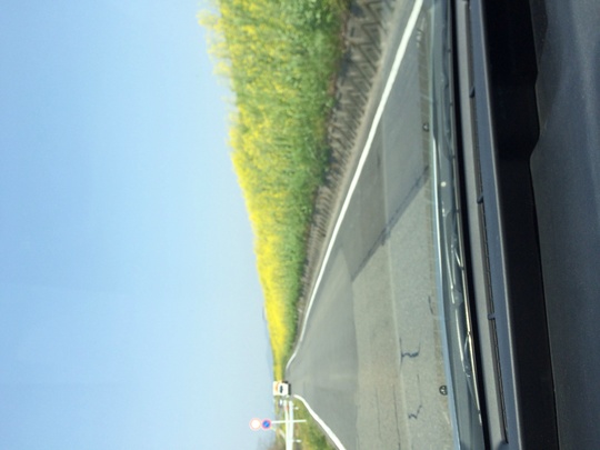 f0299870_10213858.jpg