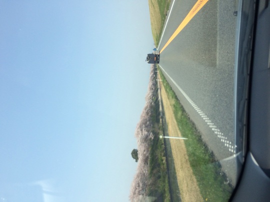 f0299870_1021480.jpg