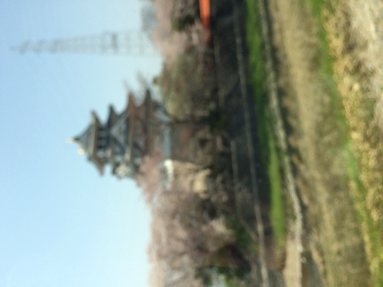 f0299870_10225531.jpg