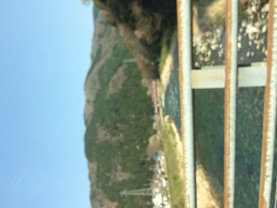 f0299870_104204.jpg
