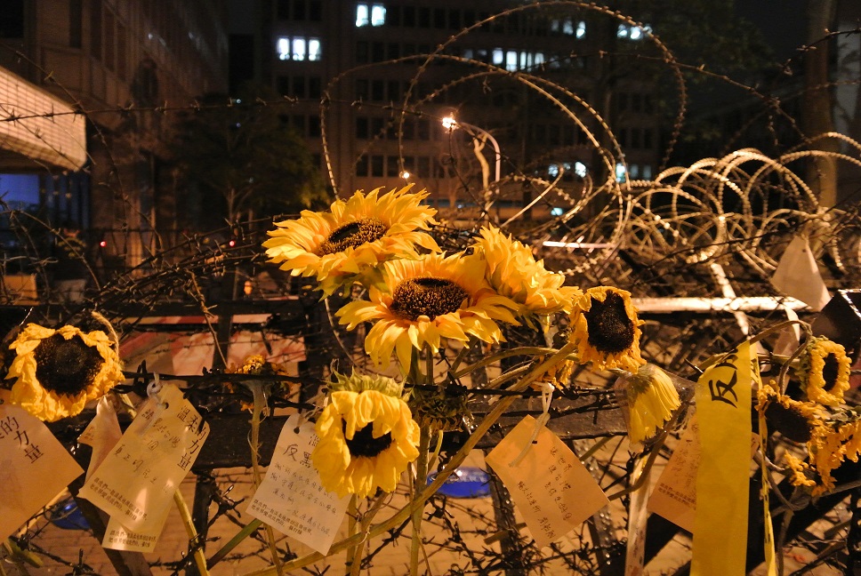 e0025873_1412084.jpg