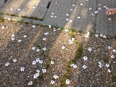 d0197976_2217010.jpg
