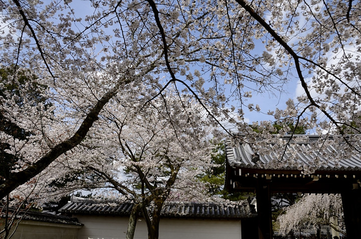 f0108478_155643.jpg