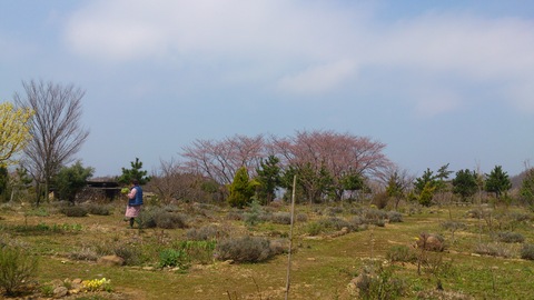 d0182179_16163673.jpg
