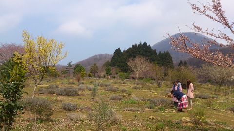 d0182179_16231966.jpg