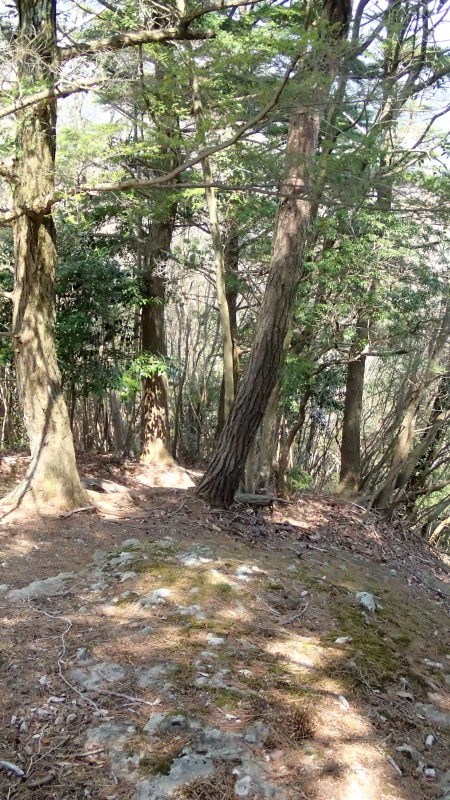e0024081_20302495.jpg