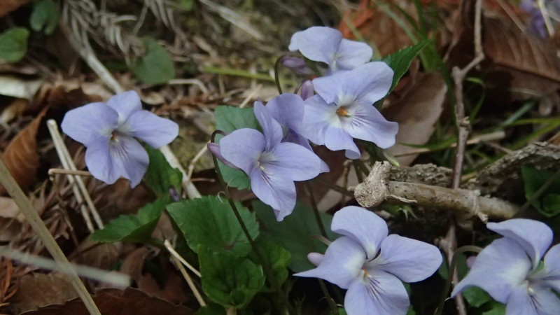 e0024081_20345047.jpg