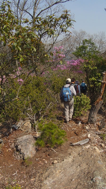 e0024081_21174350.jpg