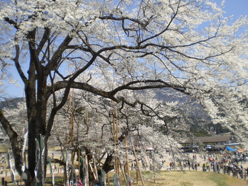 f0129585_20512136.jpg