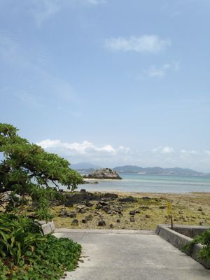 b0162388_073823.jpg