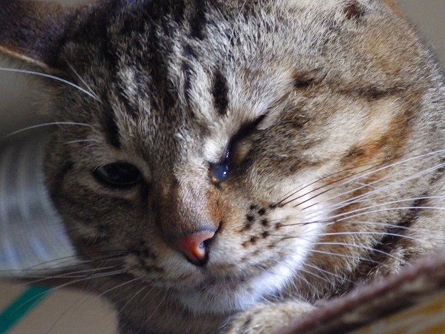 a0159490_1637990.jpg