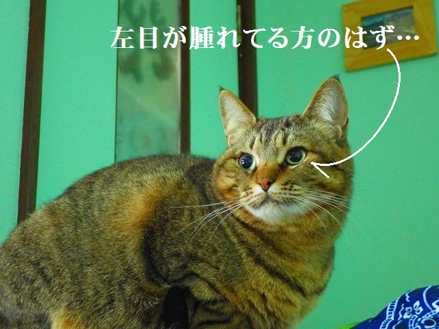 a0159490_1641541.jpg