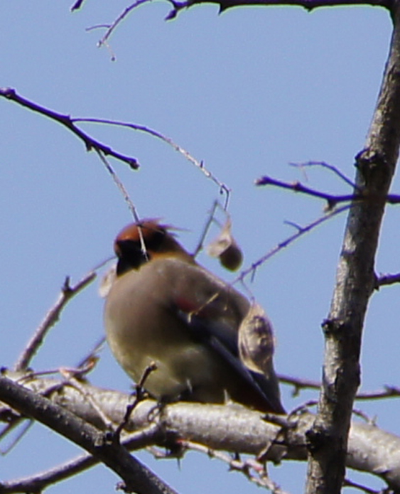 c0139591_11432816.jpg