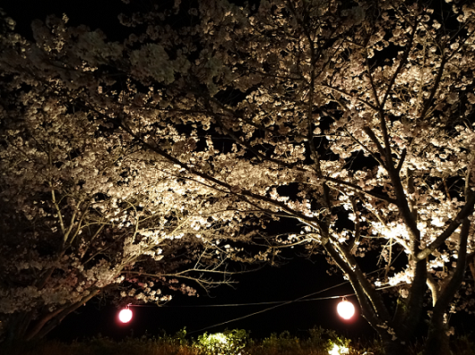 c0229591_10532493.png